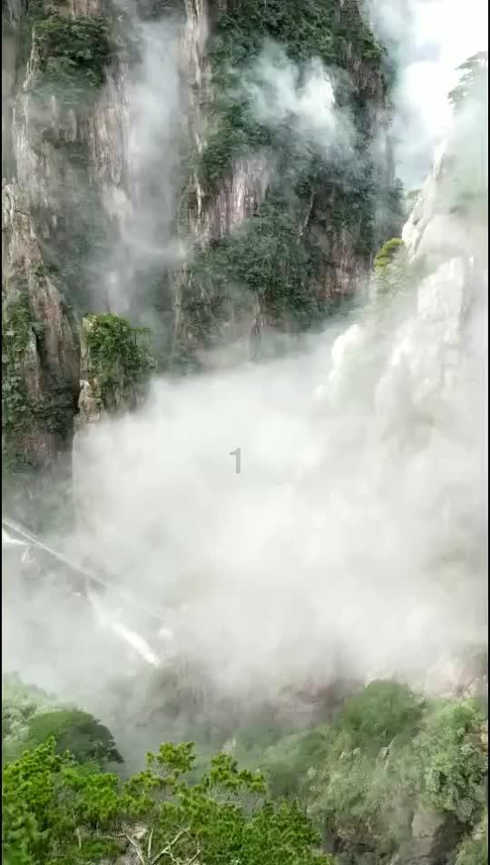 腿上长这个，请问是什么？
